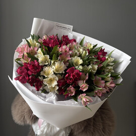 SHikarnie al_stromerii