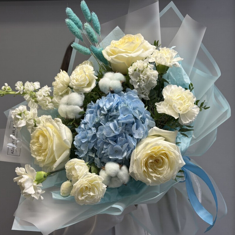 Голубая лагуна, премиум