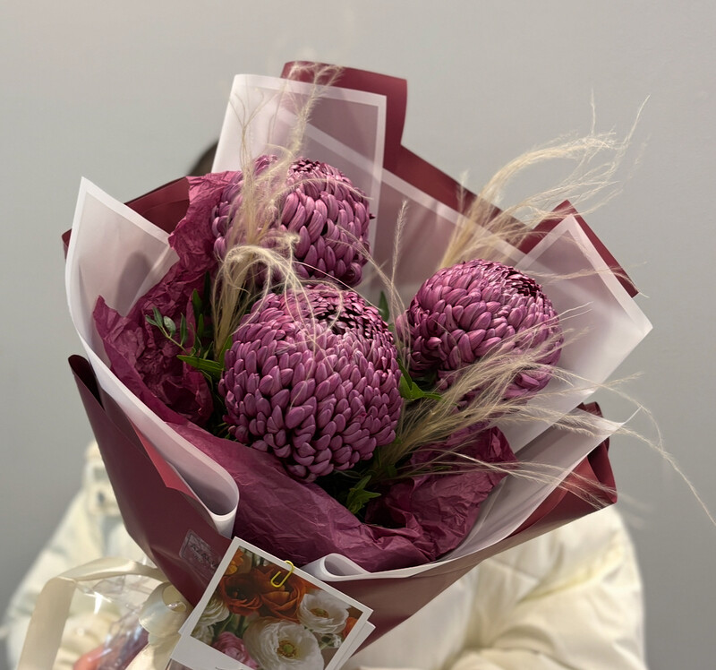 Бордовая любовь , стандартный