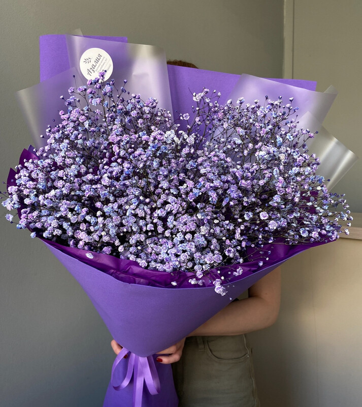 Poyas Veneri, standart