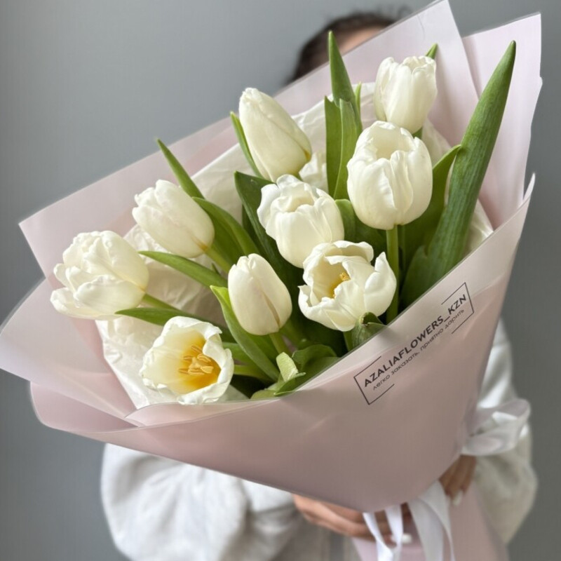 Дыхание Весны, стандартный