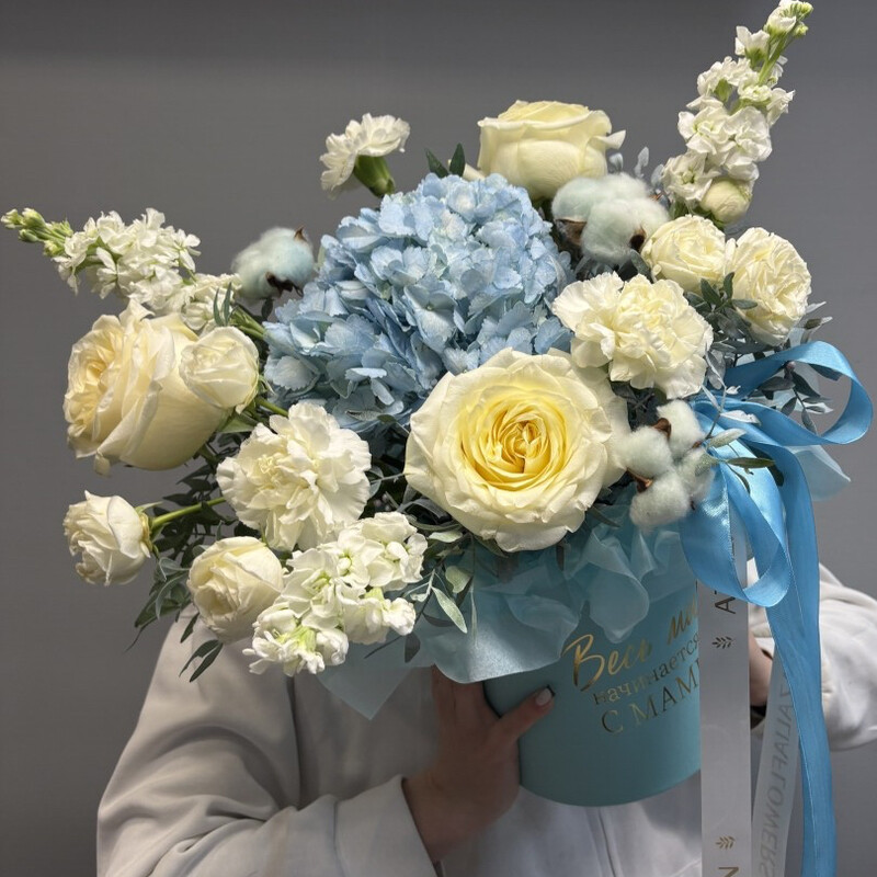 Morskoj briz, premium