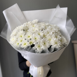 Белые ромашки 