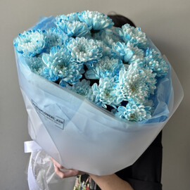 Голубые хризантемы 