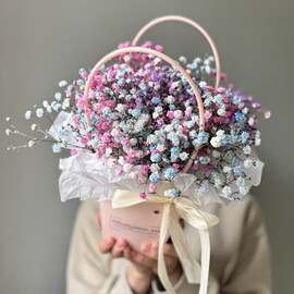 Gipsofila v sumochke