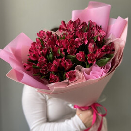 Prekrasnie al_stromerii