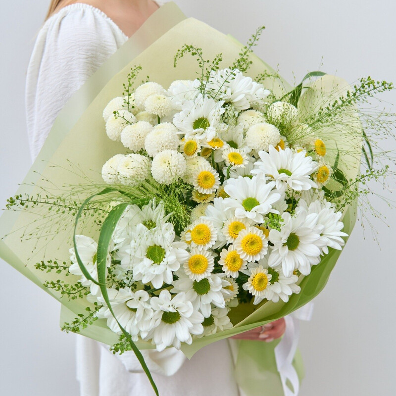 TCveti Leta, standart