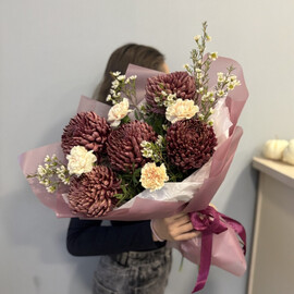 Бордовые хризантемы