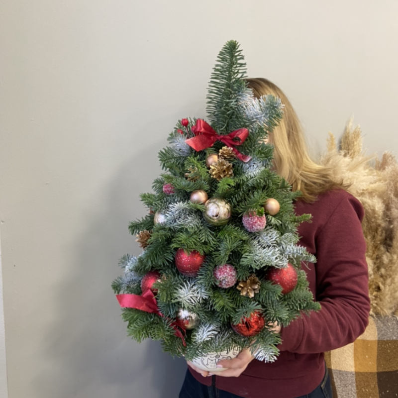 The holiday is coming to us, standart