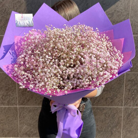 Ауадағы гипсофила 