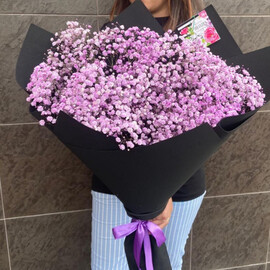 Wonderful gypsophila