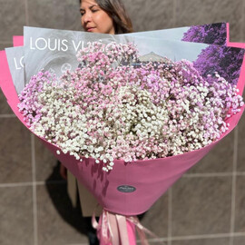 Қызғылт гигант 