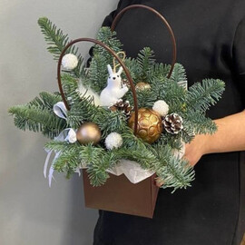 Morning in the forest