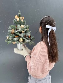 Novogodnyaya kompozitciya Elochka 2026