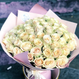 51 кремовая роза