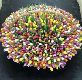 Корзина 501 тюльпан микс