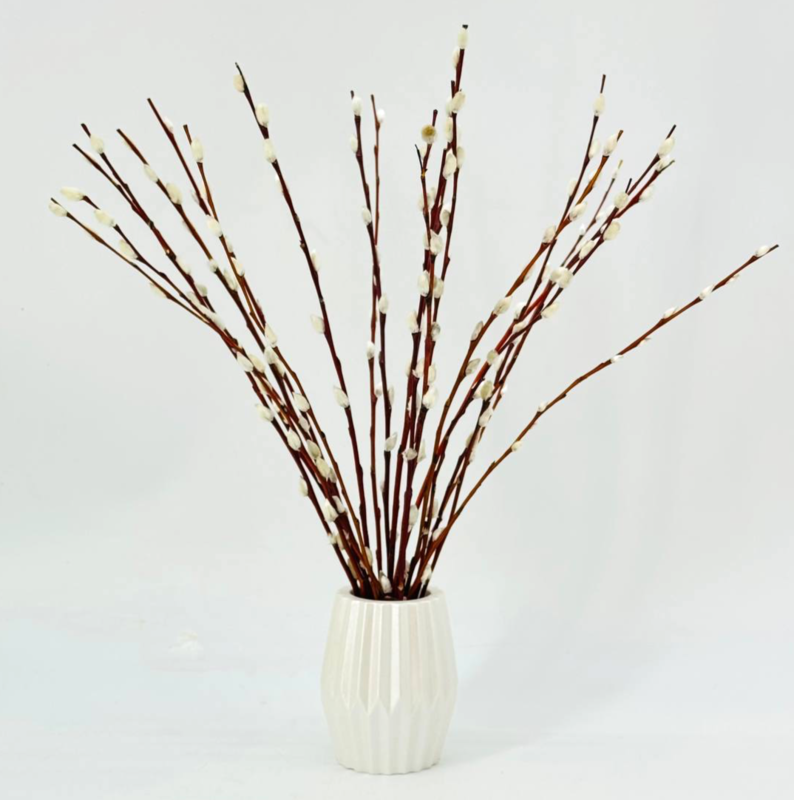 Букет из вербы 30 см красноталка в вазе из гипса ручной работы. Пасхальная композиция. Живая верба, стандартный