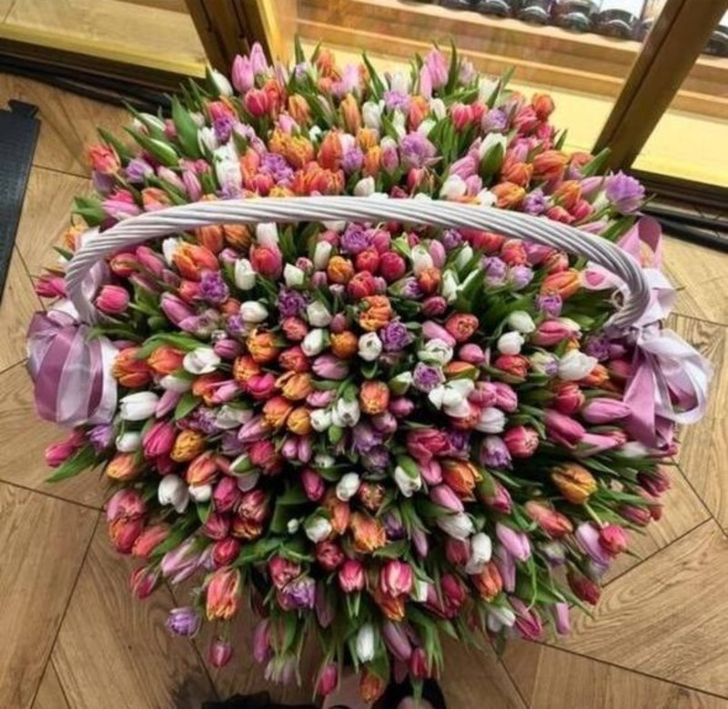 Букет гигант 501 тюльпан микс в корзине, стандартный