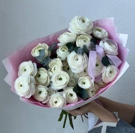 Dizajnerskij buket iz 25 belih ranunkulyusov s vetochkami evkalipta. ZHivie tcveti na prazdnik