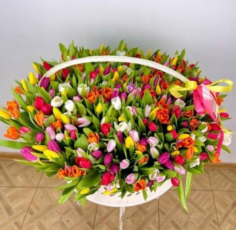Buket gigant iz 251 raznotcvetnogo tyul_pana v korzine, standart