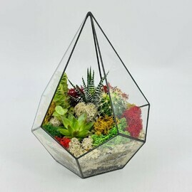 Florarium inter_ernij s rasteniyami havortiya, sukkulenti