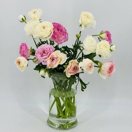 Нежные ранункулюсы 15 шт. Живые цветы для дома