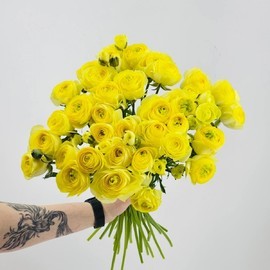 Премиальные цветы ранункулюсы-лютики. Букет из 35 жёлтых ранункулюсов