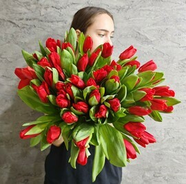 Большой букет из 51 красного тюльпана. Цветы на праздник 8 марта, день рождения