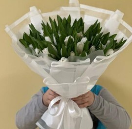 51 белый тюльпан