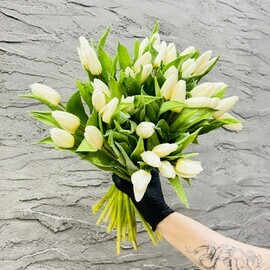 Buket iz 35 belih tyul_panov sort podsnezhniki. TCveti na 14 fevralya, 8 marta