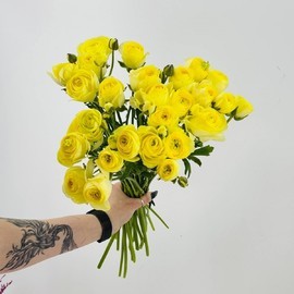 Buket iz 25 zhyoltih ranunkulyusov premium
