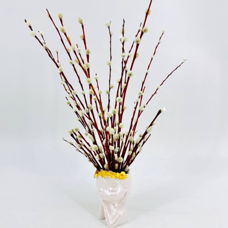 Buket iz verbi v vaze "Devochka. Pashal_nij buket. ZHivaya verba 30 sm krasnotalka, standart
