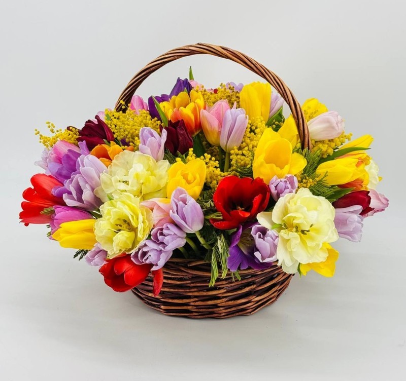 Козинка 75 тюльпанов премиум с веточками мимозы, стандартный