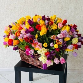 301 raznotcvetnij tyul_pan v korzine