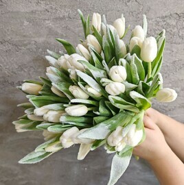 35 snezhnih belih tyul_pana premium. TCveti na prazdnik 8 marta