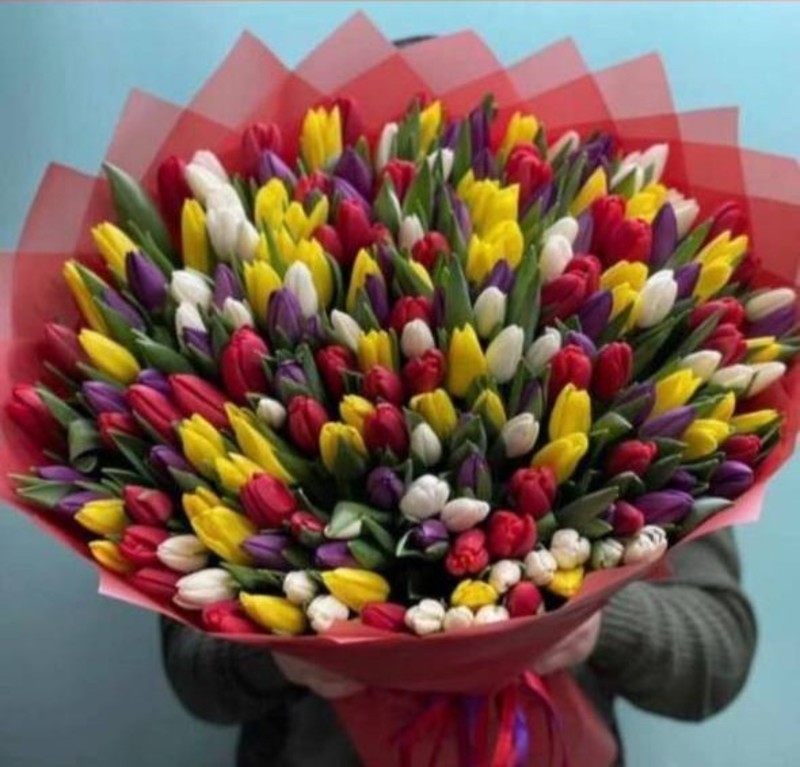 Тюльпаны микс премиум 201 шт, стандартный