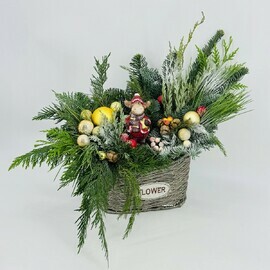 Inter_ernaya kompozitciya iz hvoi nobilis, tuya, kiparis, mozhzhevel_nik v pletyonom kashpo i suvenirom