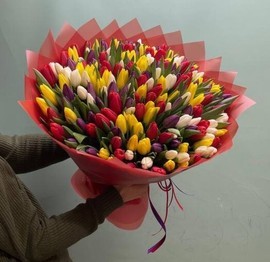 Bol_shoj buket iz 201 tyul_pana v krasnoj upakovke