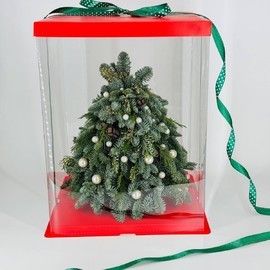 YOlochka iz nobilisa 35 sm v podarochnoj panoramnoj korobke