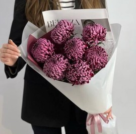 Шикарный букет из 7 хризантем Бигуди премиум