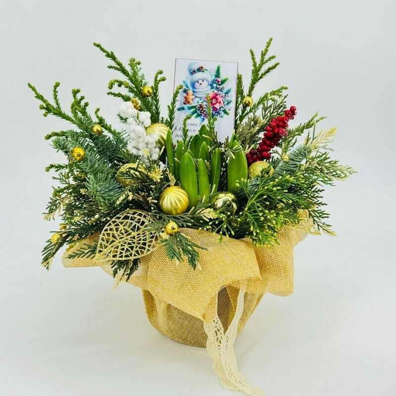 Зимний, новогодний букет из натуральной хвои нобилис с первоцветами гиацинт. Подарок на новый год, стандартный