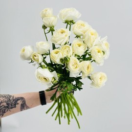 Nezhnie ranunkulyusi. Buket iz 19 belih ranunkulyusov dlya devushki, zhenshini