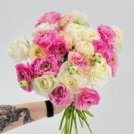 Букет из 25 нежных ранункулюсов. Цветы для любимой девушки, женщины