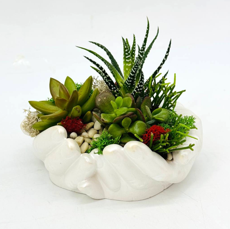 Композиция комнатных растений суккуленты и хавортия в кашпо ручной работы "Руки Давида", стандартный