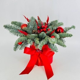 Букет из натурального нобилиса в шляпной коробке