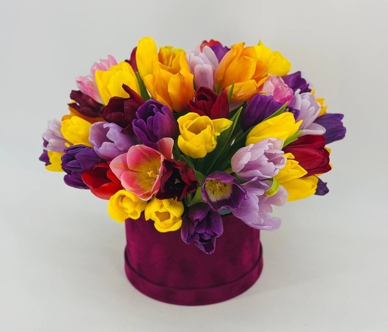 Букет из 51 разноцветного тюльпана в шляпной коробке, стандартный