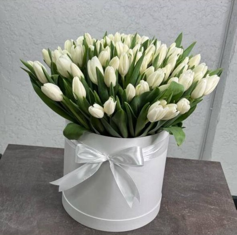 101 belij tyul_pan v shlyapnoj korobke, standart