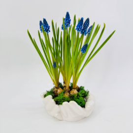 Весенняя композиция первоцветов. Мускари в кашпо "Руки Давида". Подарок на пасху. Первоцветы