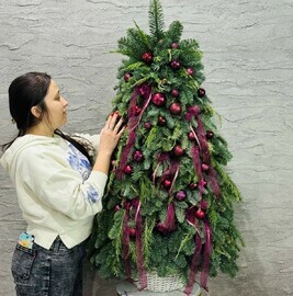 Novogodnyaya el_ 130 sm iz vetok natural_noj hvoi nobilis v rotangovom kashpo