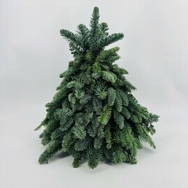 YOlochka 50 sm ruchnoj raboti iz vetok zhivogo nobilisa. lka dlya dekorirovaniya